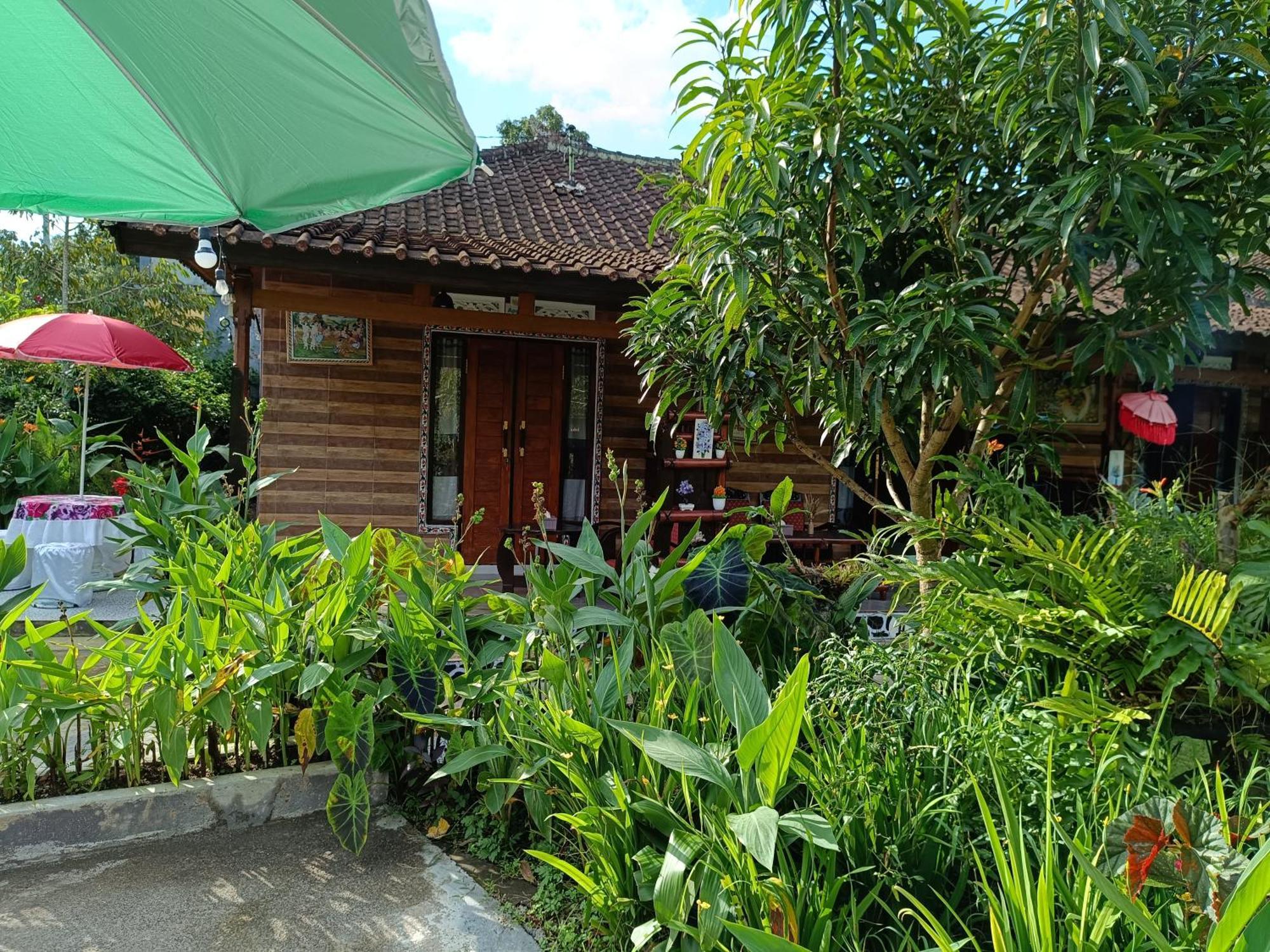 Apartmán Gosela Bali Munduk Exteriér fotografie